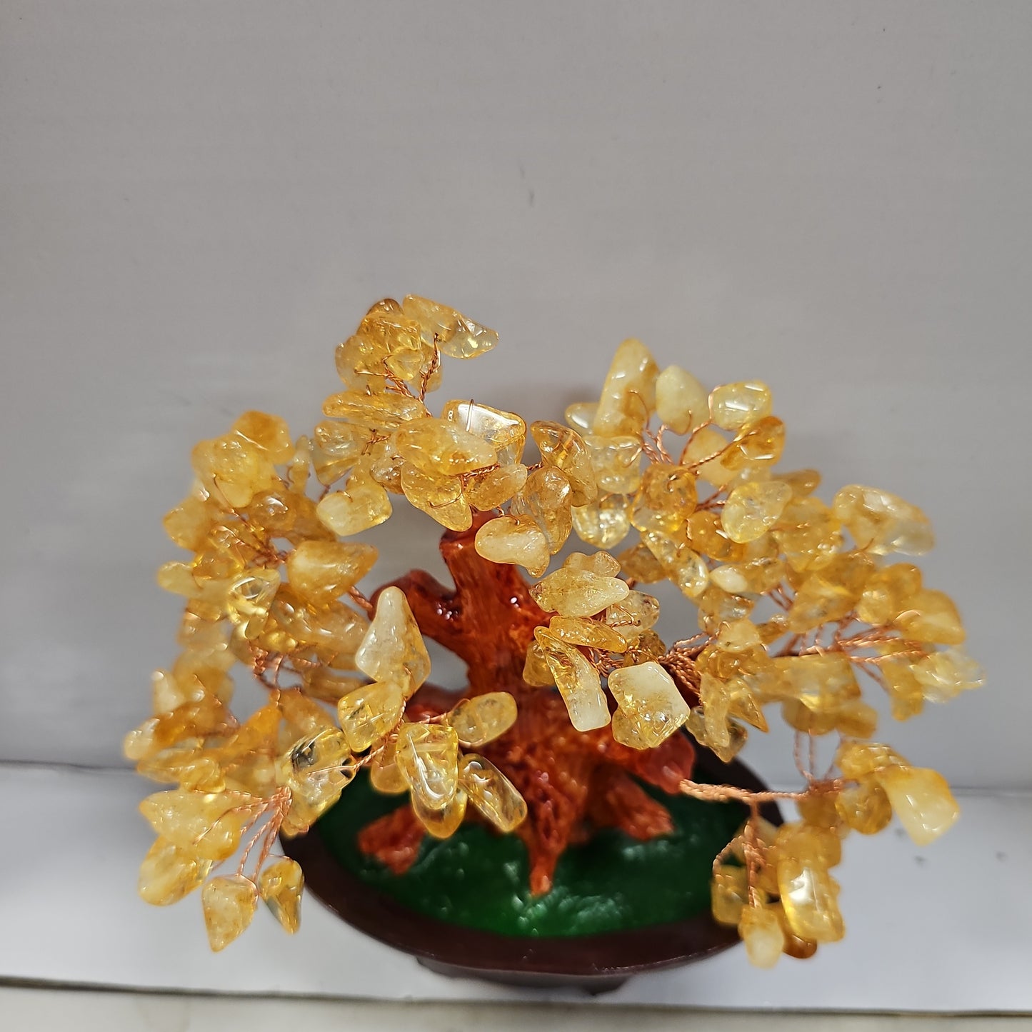 Standing Tree of Life Collection