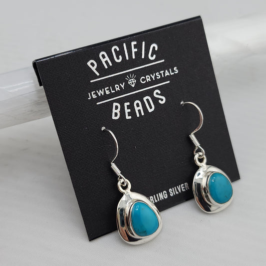 Special Value Item-S.S. Turquoise Free Form Drop Earrings