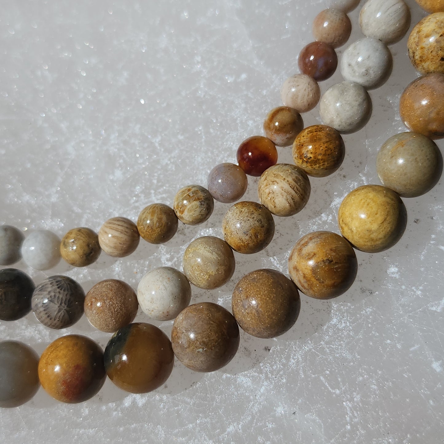 Fossil Coral Beads