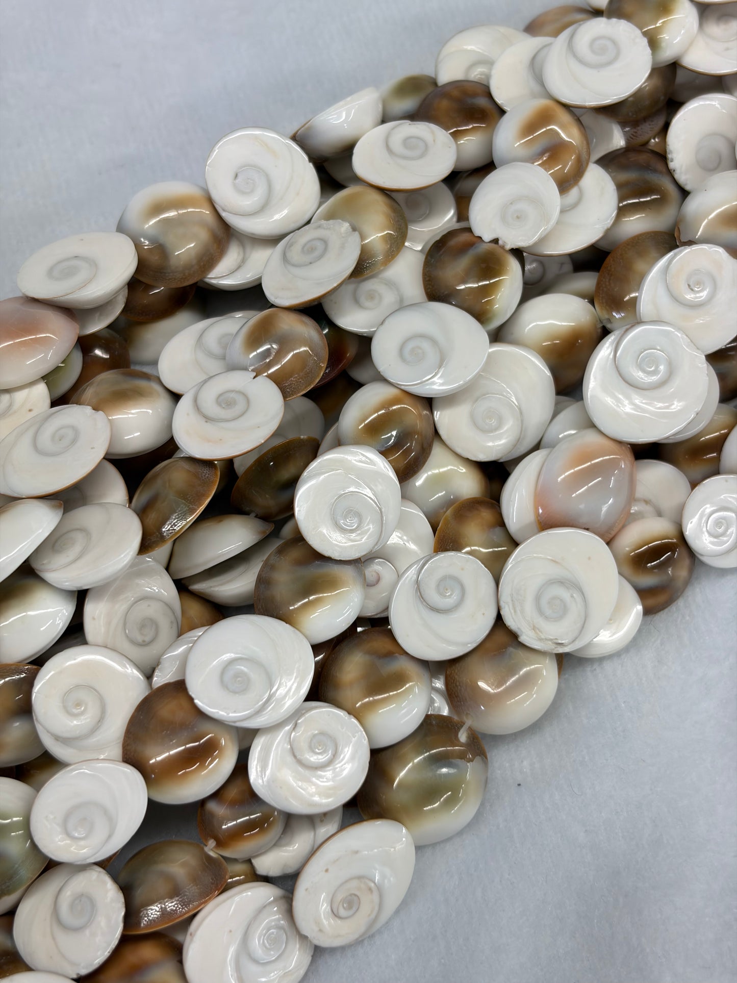Shiva Shell Beads