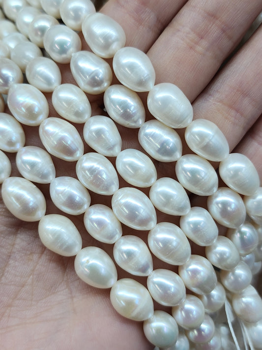 Freshwater Oval Pearl Beads