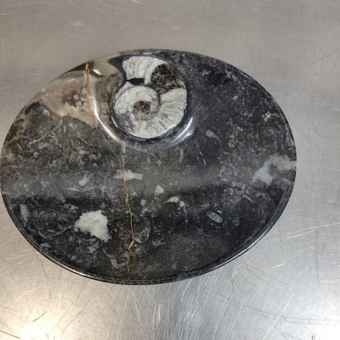 Orthoceras Fossil Bowls 4"