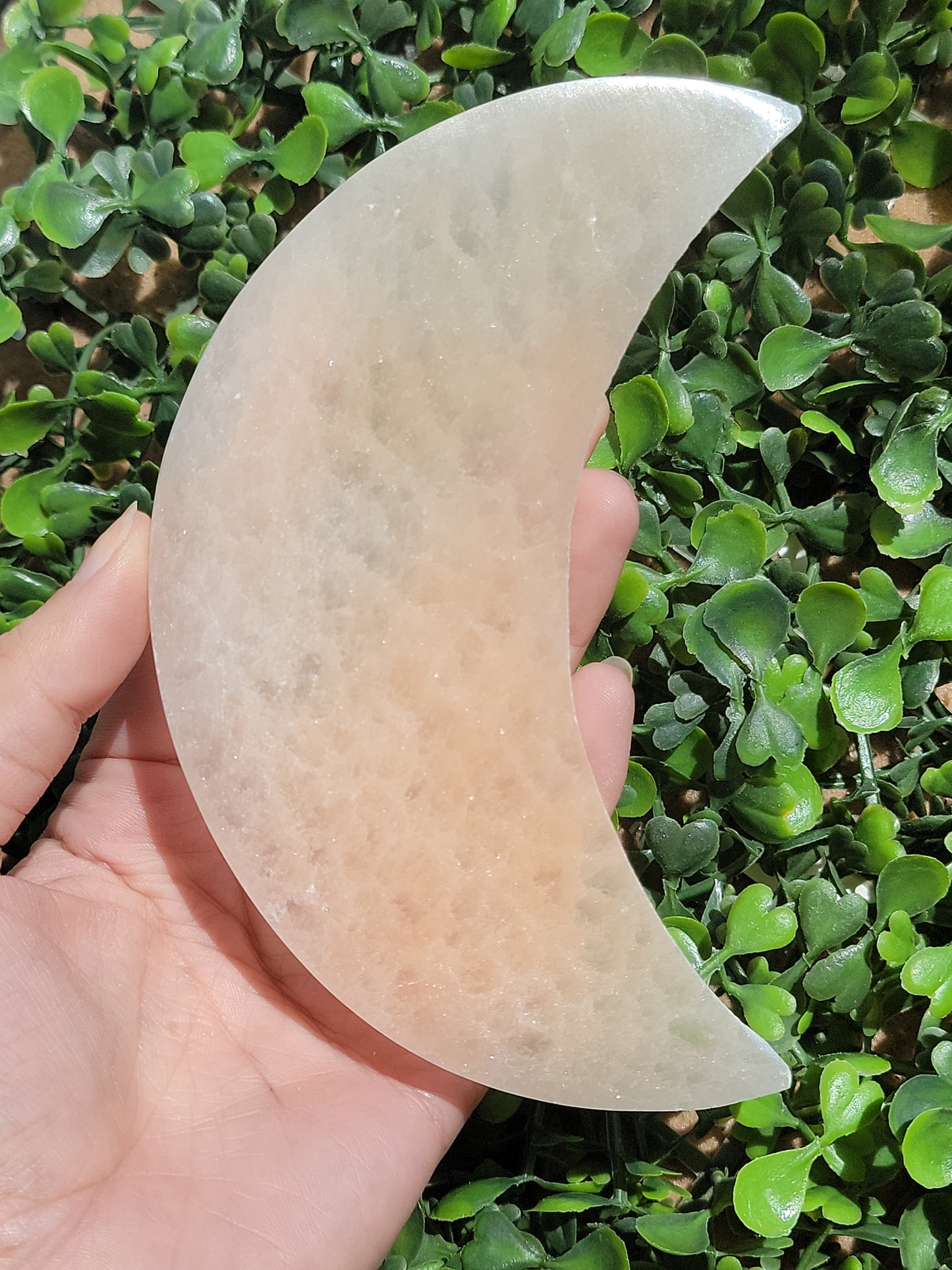 Two-Tone Selenite Moon Plates 5.5"