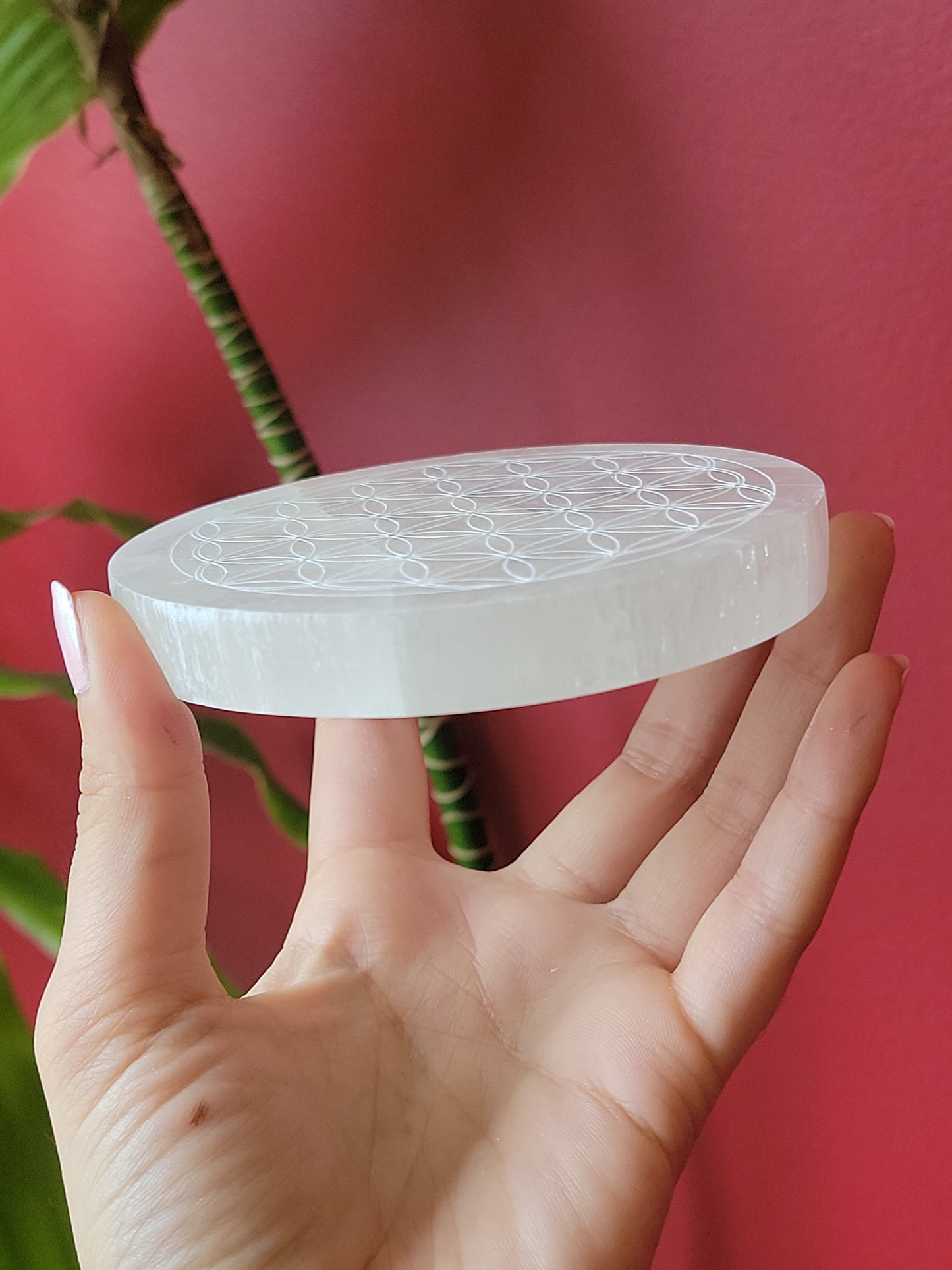 Selenite Flower of Life Discs