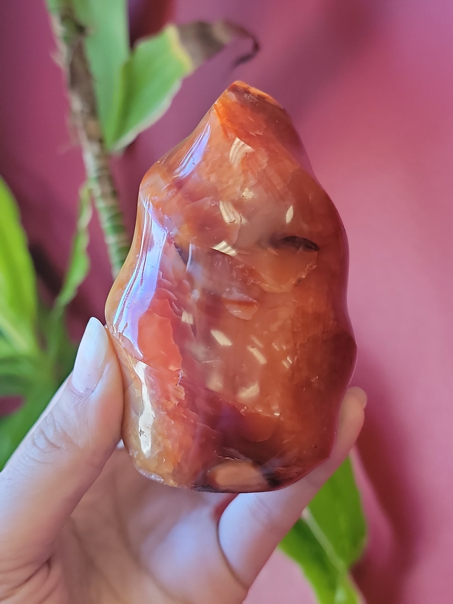 Carnelian Flames