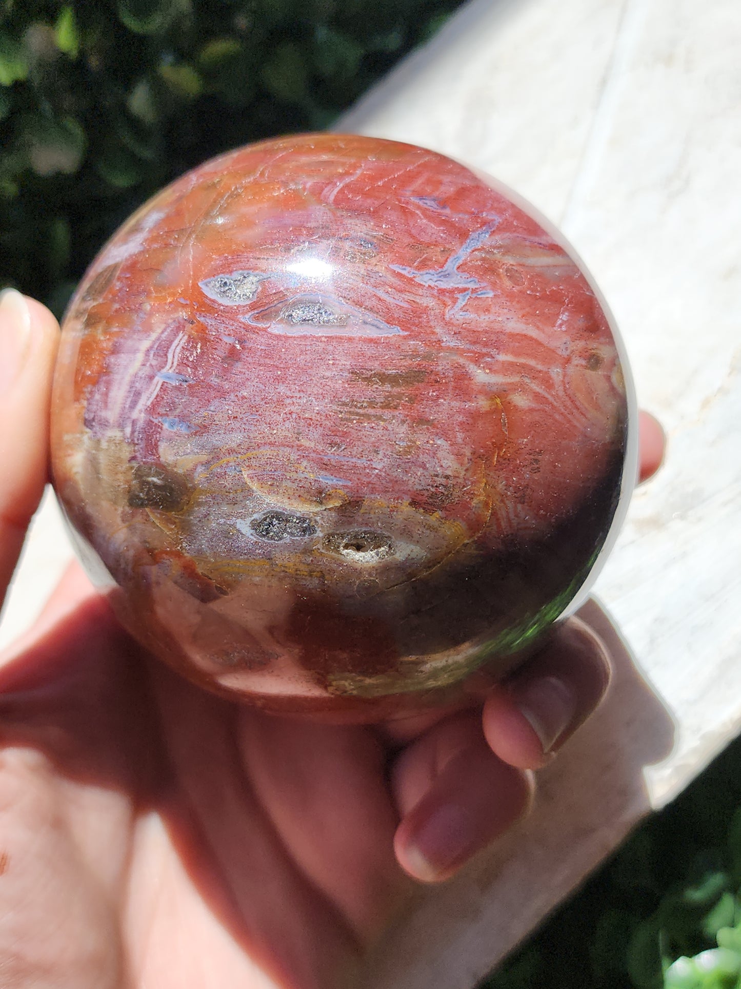 Petrified Wood Spheres 3"