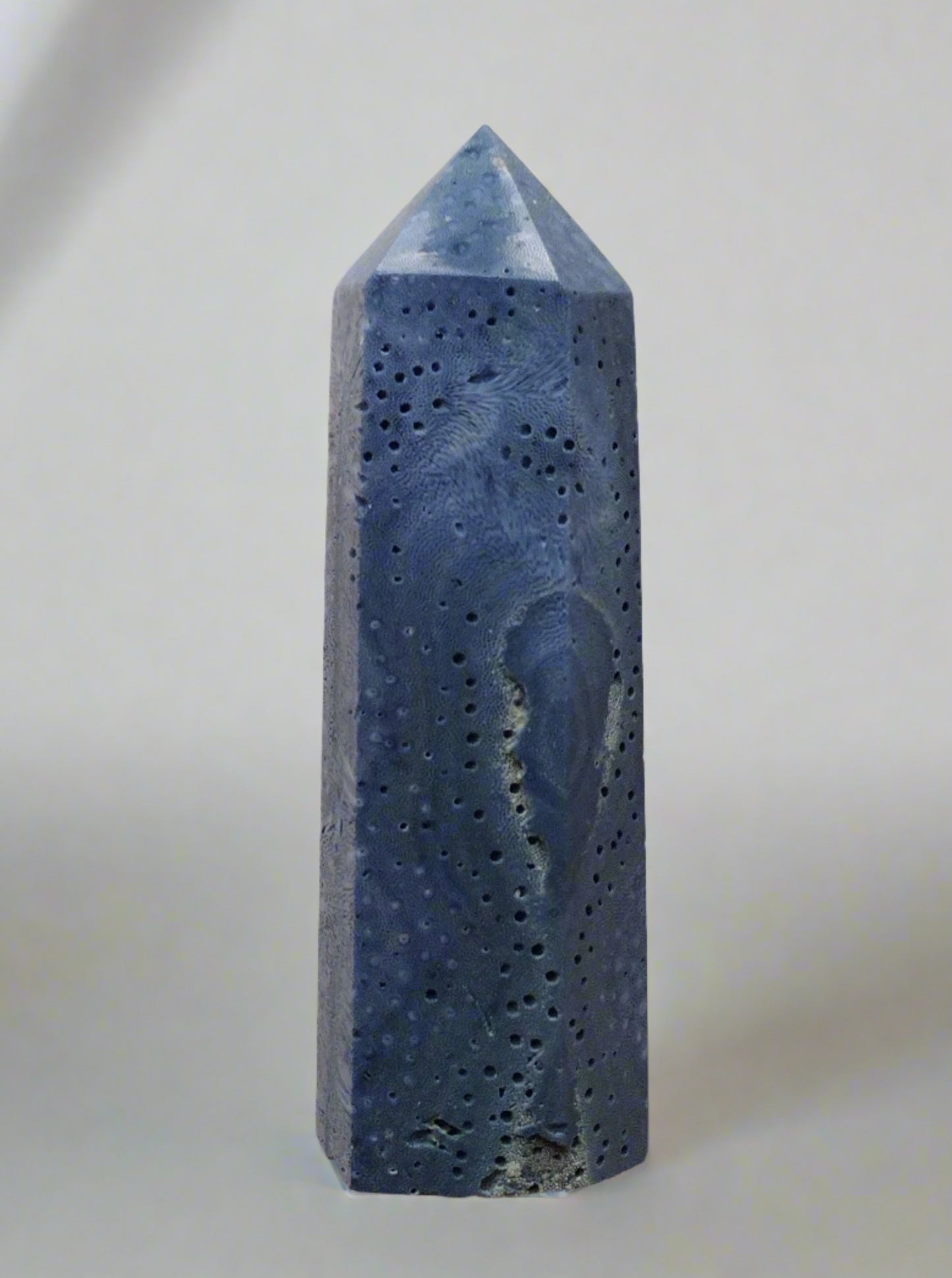 Blue Coral Points 3.5"