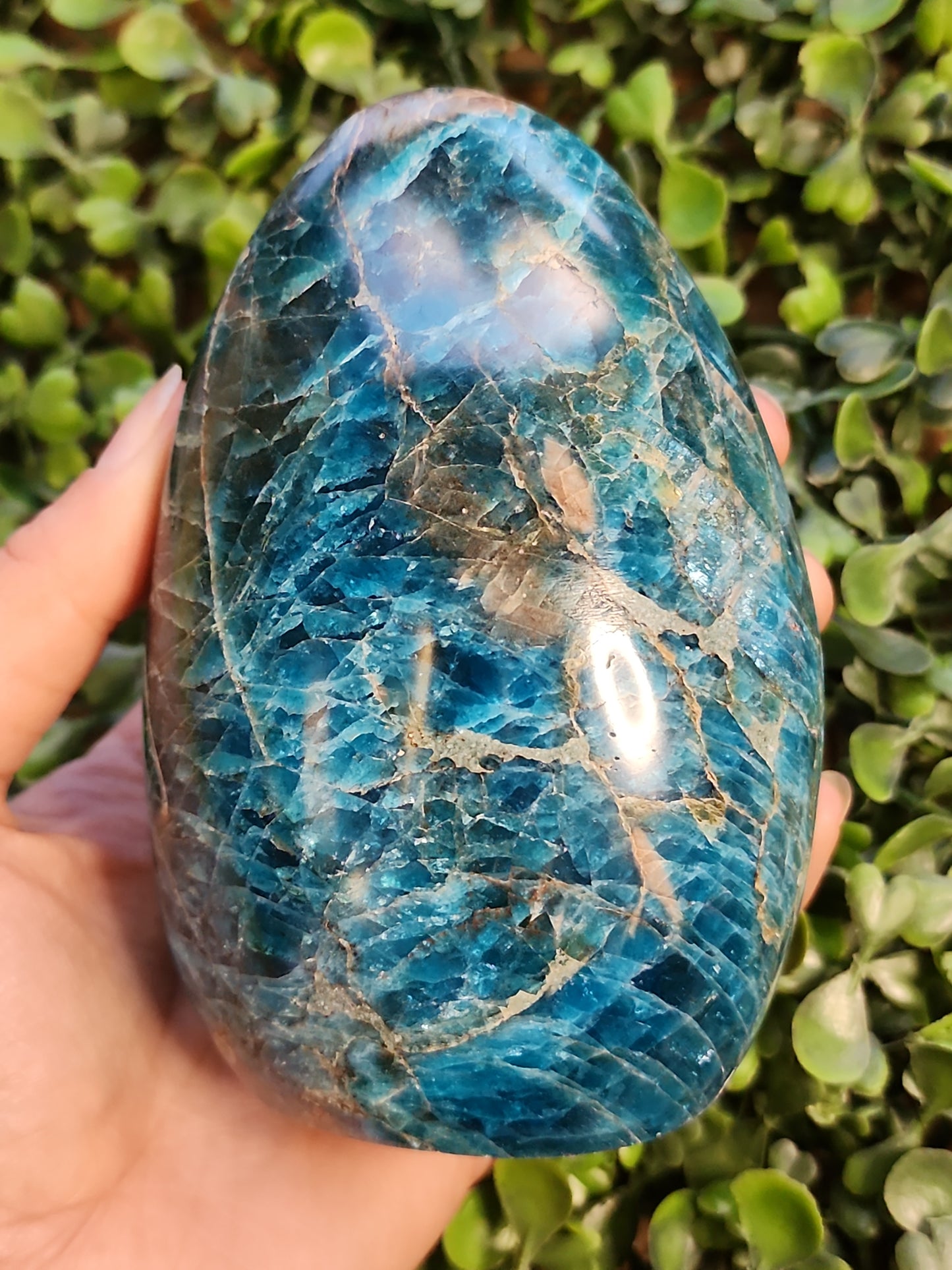 Apatite Arches 4.5"