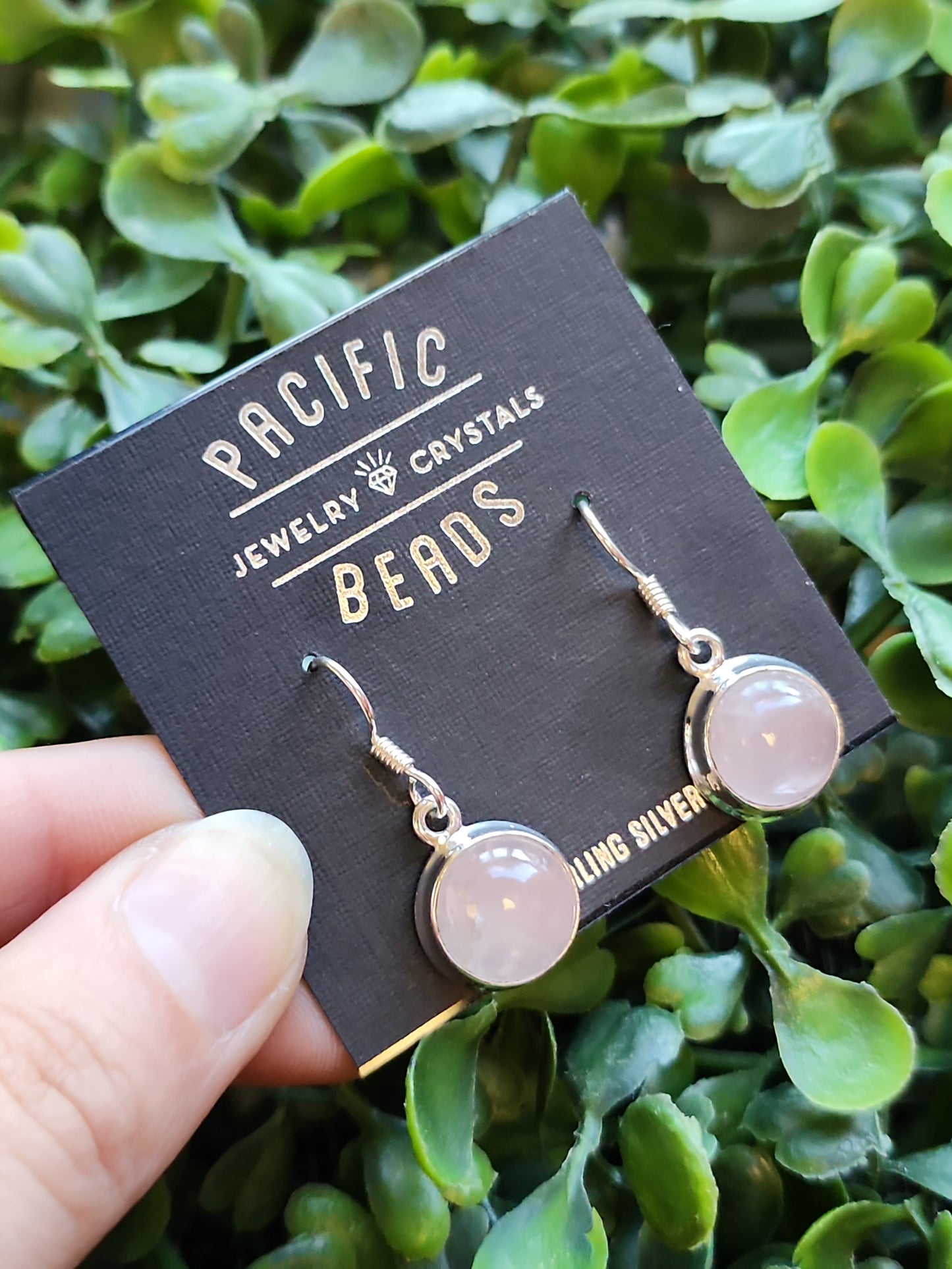 S.S. Rose Quartz Earrings