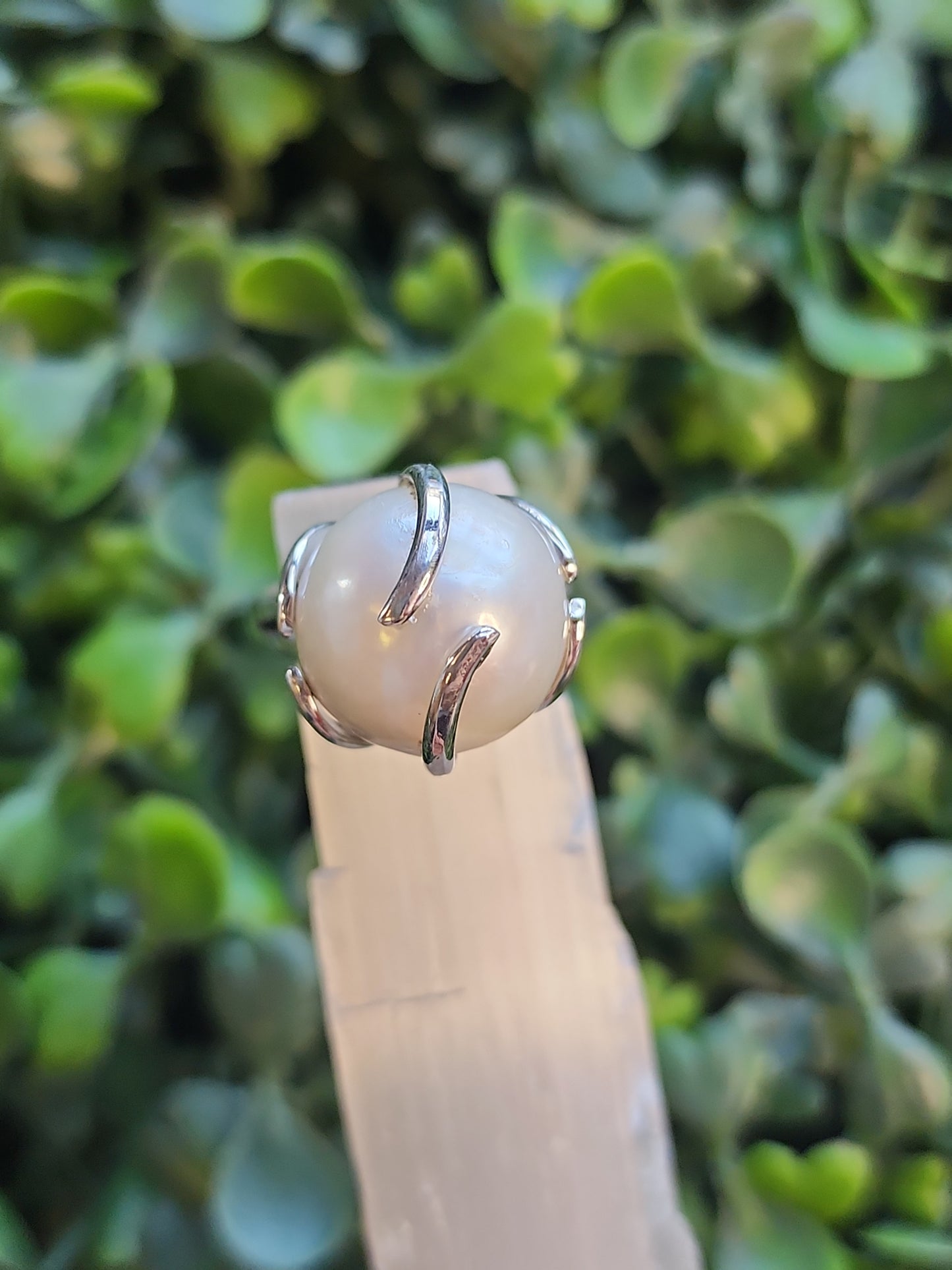 S.S. Shlomo AAA Grade Pearl Adjustable Rings