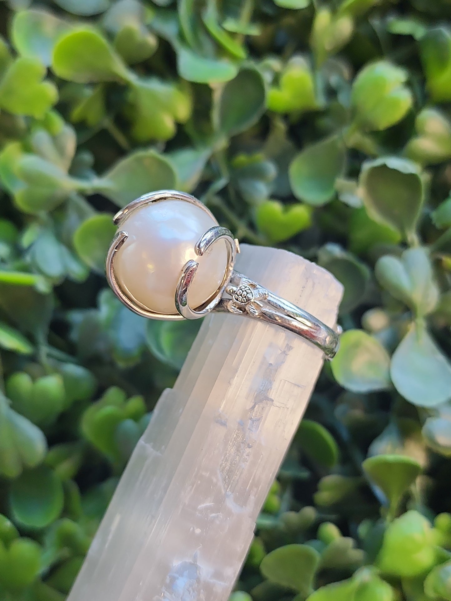 S.S. Shlomo AAA Grade Pearl Adjustable Rings