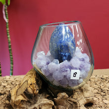 Load image into Gallery viewer, Lapis Egg in Driftwood Display Assortment
