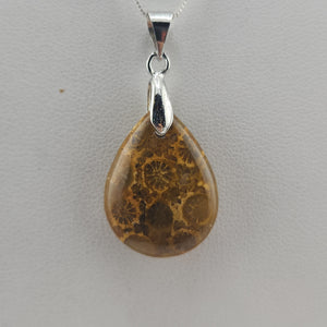Special Value Item-S.S. Fossilized Coral Necklaces