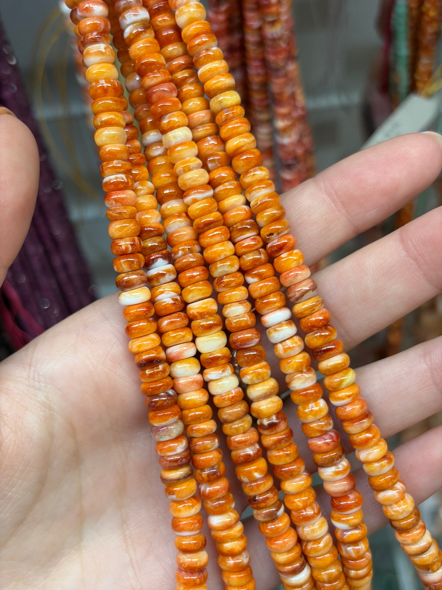 Oyster Shell Graduated Rondelle Beads