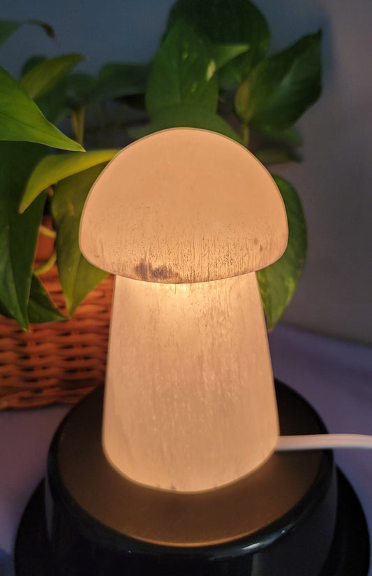 Selenite Mushroom Lamps