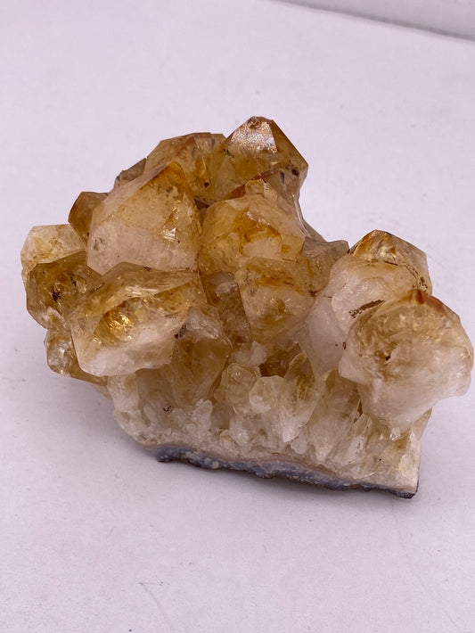 Citrine clusters available at wholesale and retail prices, only at our crystal shop in San Diego!