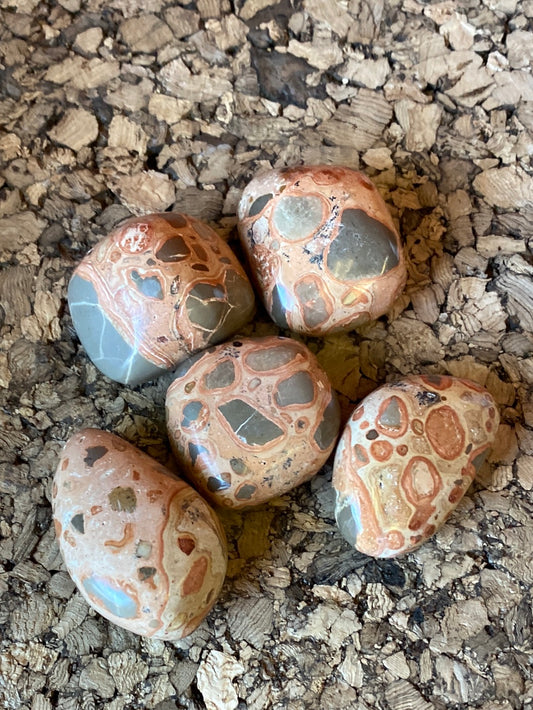 Leopard Rhyolite Tumble Stones (5 pc)