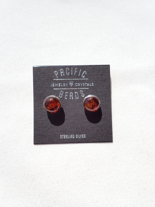 S.S. Amber Stud Earrings