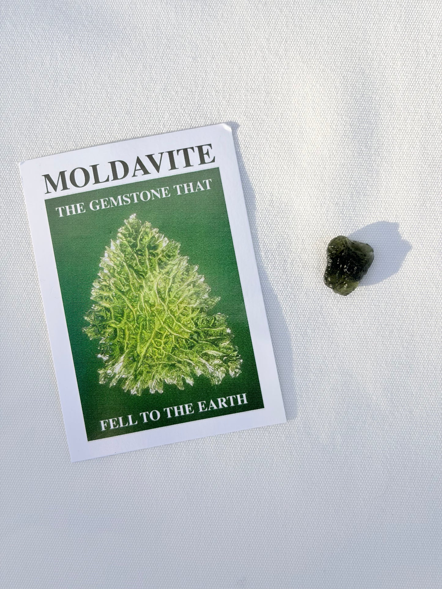 Organic Moldavite Specimen