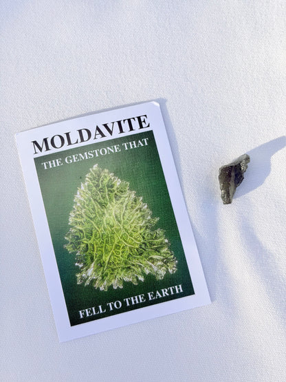 Organic Moldavite Specimen