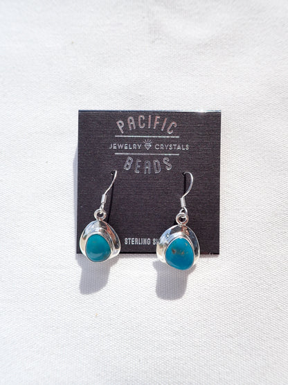 S.S. Turquoise Free Form Drop Earrings