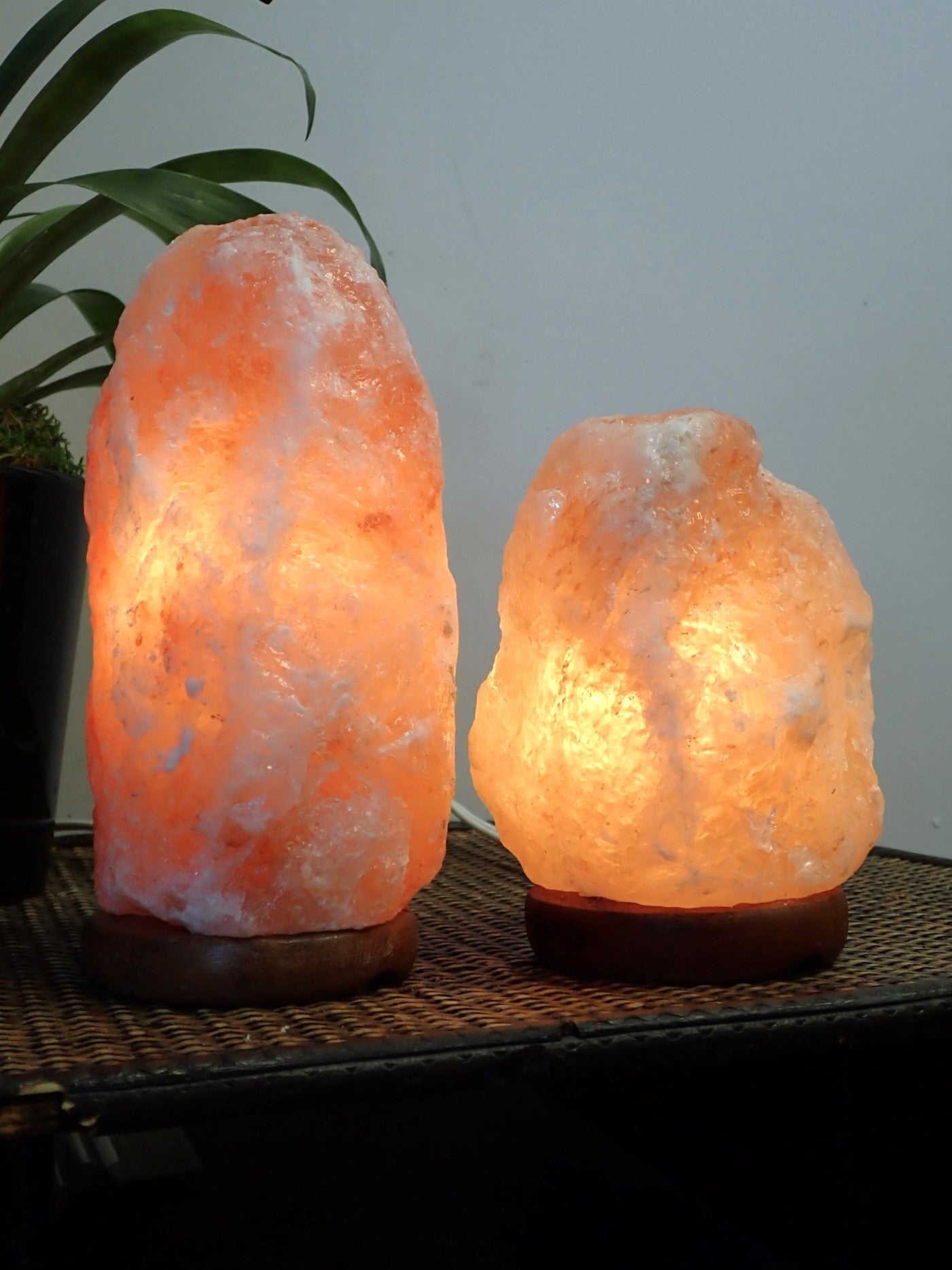 Himalayan Salt Lamps