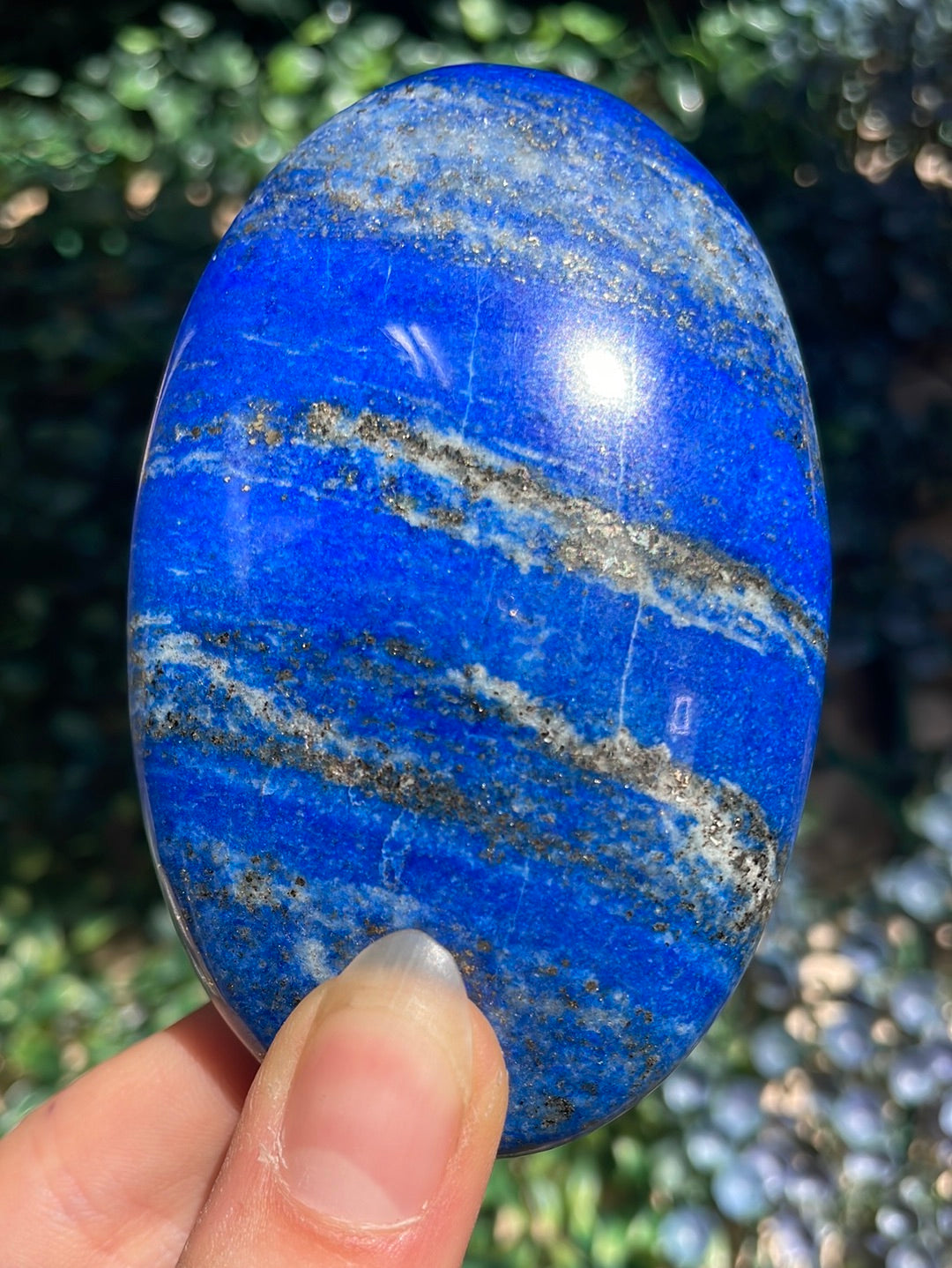 Lapis lazuli palmstones available at wholesale and retail prices, only at our crystal shop in San Diego!