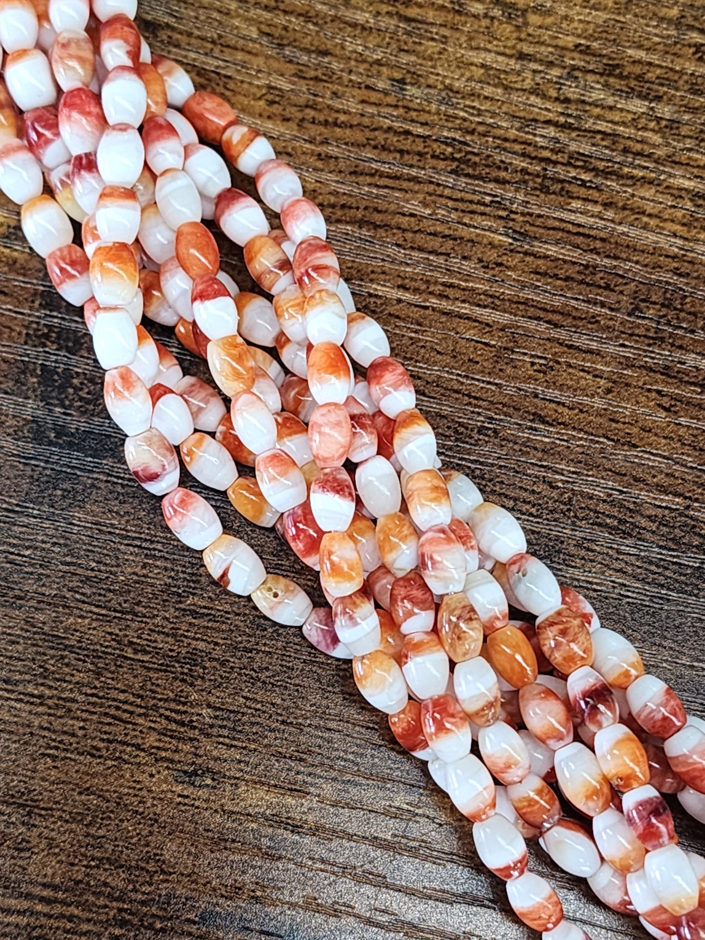 Oyster Shell Barrel Beads