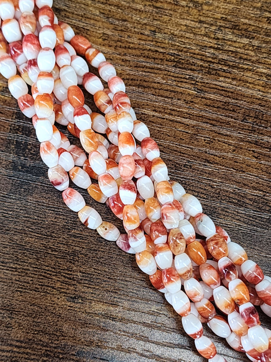 Oyster Shell Barrel Beads
