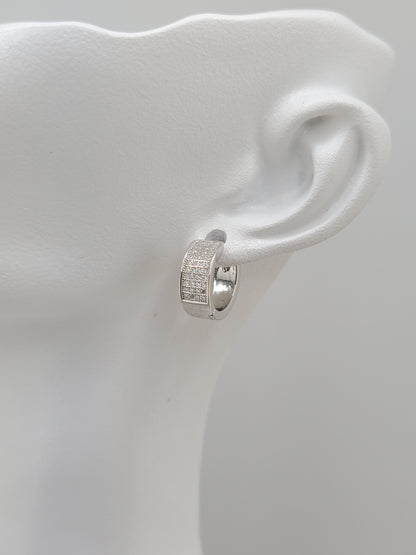 S.S. Moissanite Huggie Earrings