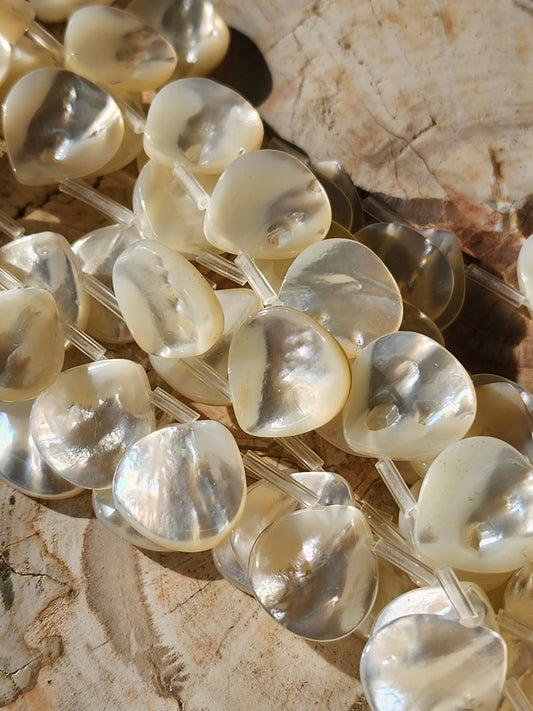 AAA Grade Mother of Pearl Teardrop Beads