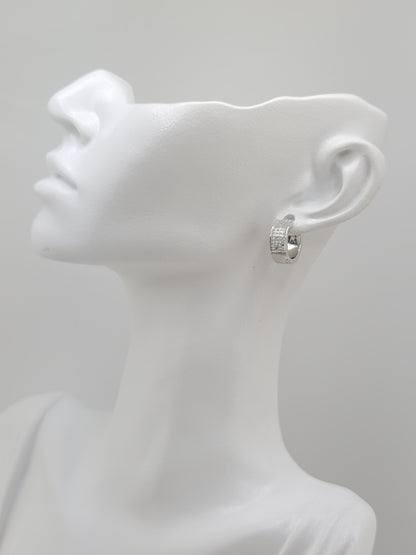 S.S. Moissanite Huggie Earrings