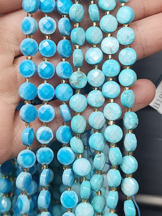 Faceted Coin Magnesite Beads