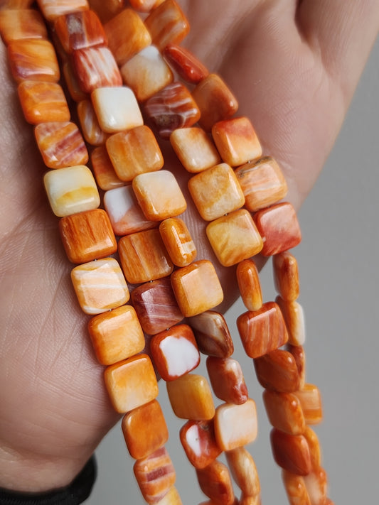 Oyster Shell Square Beads