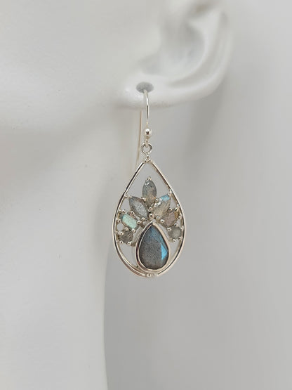 S.S. Faceted Peacock Earrings Assortment