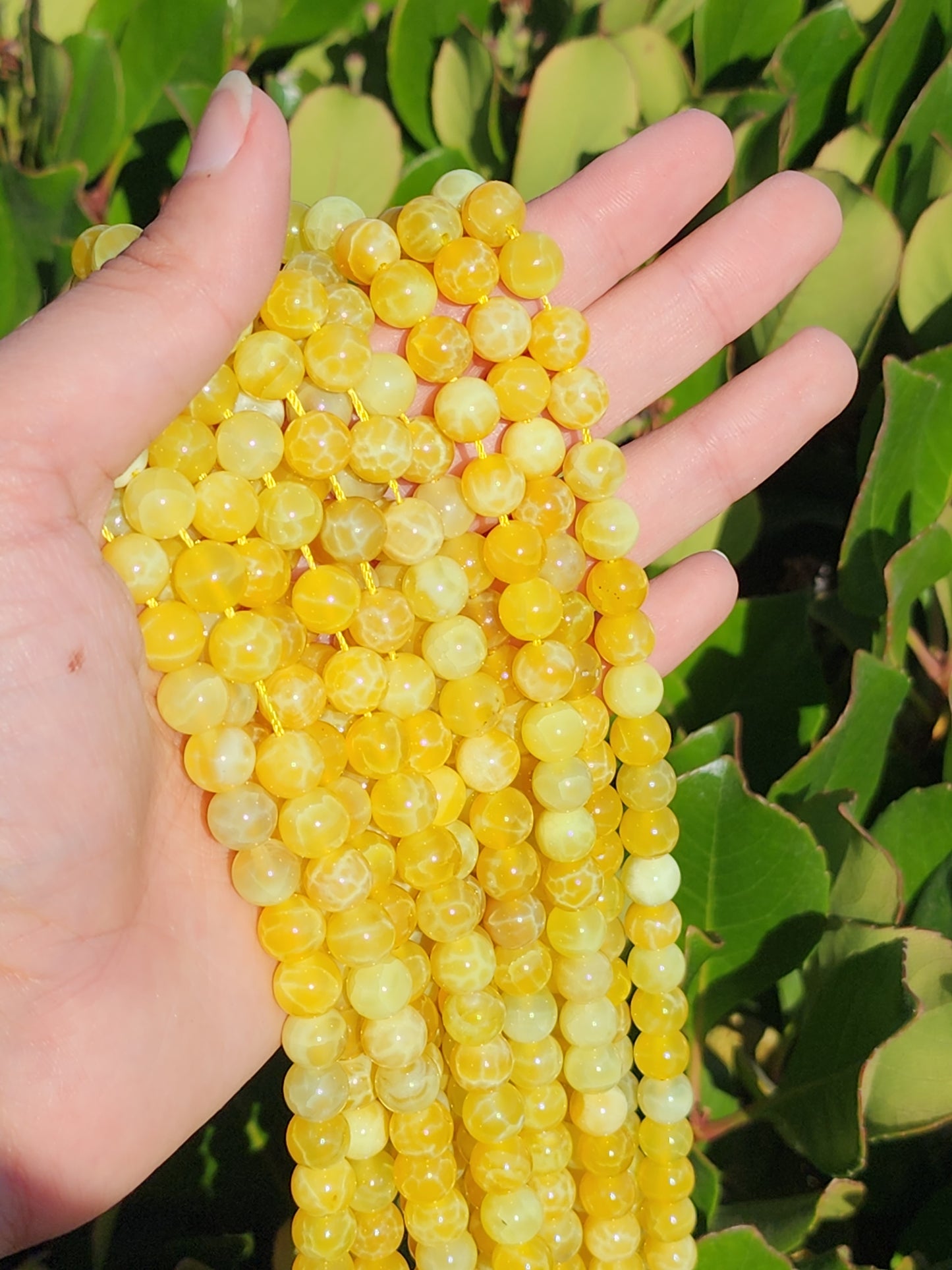 Yellow Fire Agate Beads