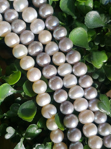 Half Strand Freshwater Pearl Beads