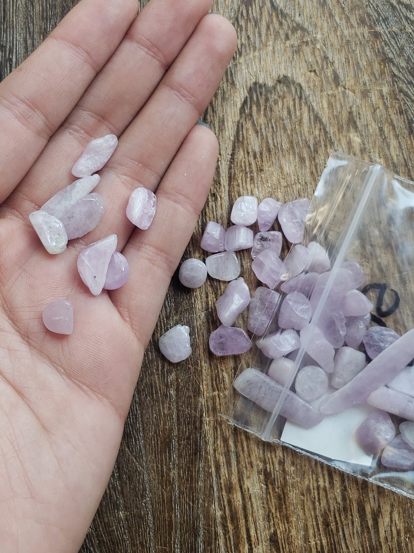 Kunzite Chips (50 pc)