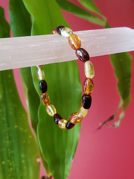 Multicolor Baltic Amber Stretch Bracelet