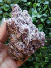 Load image into Gallery viewer, Purpurite and Watermelon Tourmaline Auction Specimen
