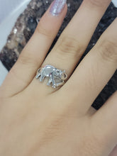 Load image into Gallery viewer, S.S. Elephant Rings
