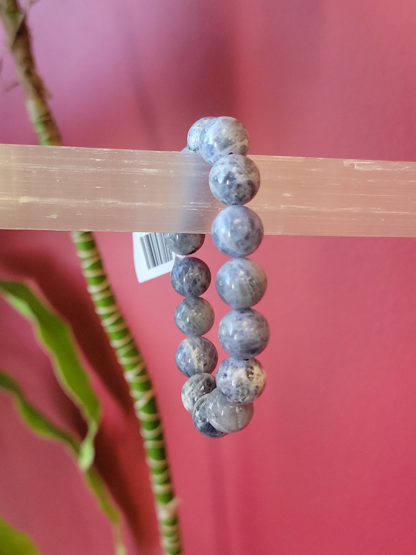 Sodalite Stretch Bracelet 10mm