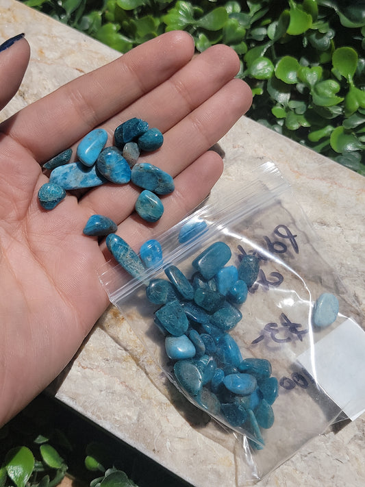 Tumbled Apatite Chips (100 pc)