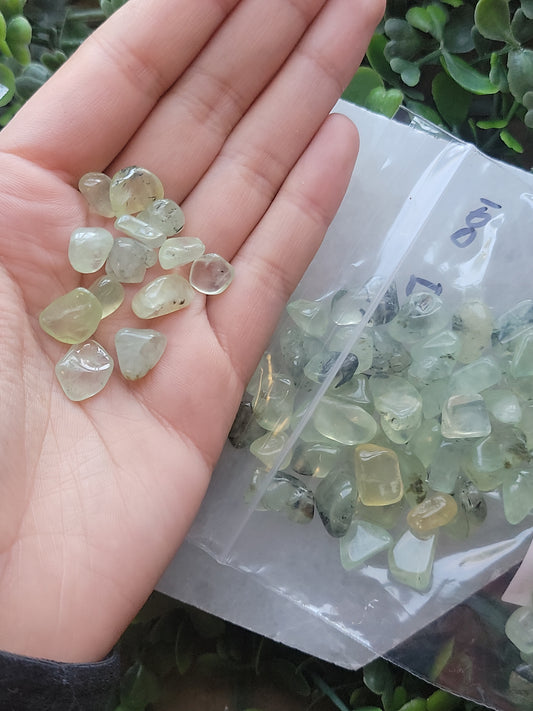 Prehnite Chips (100 pc)