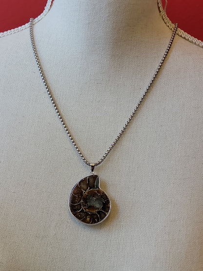 Ammonite Necklaces