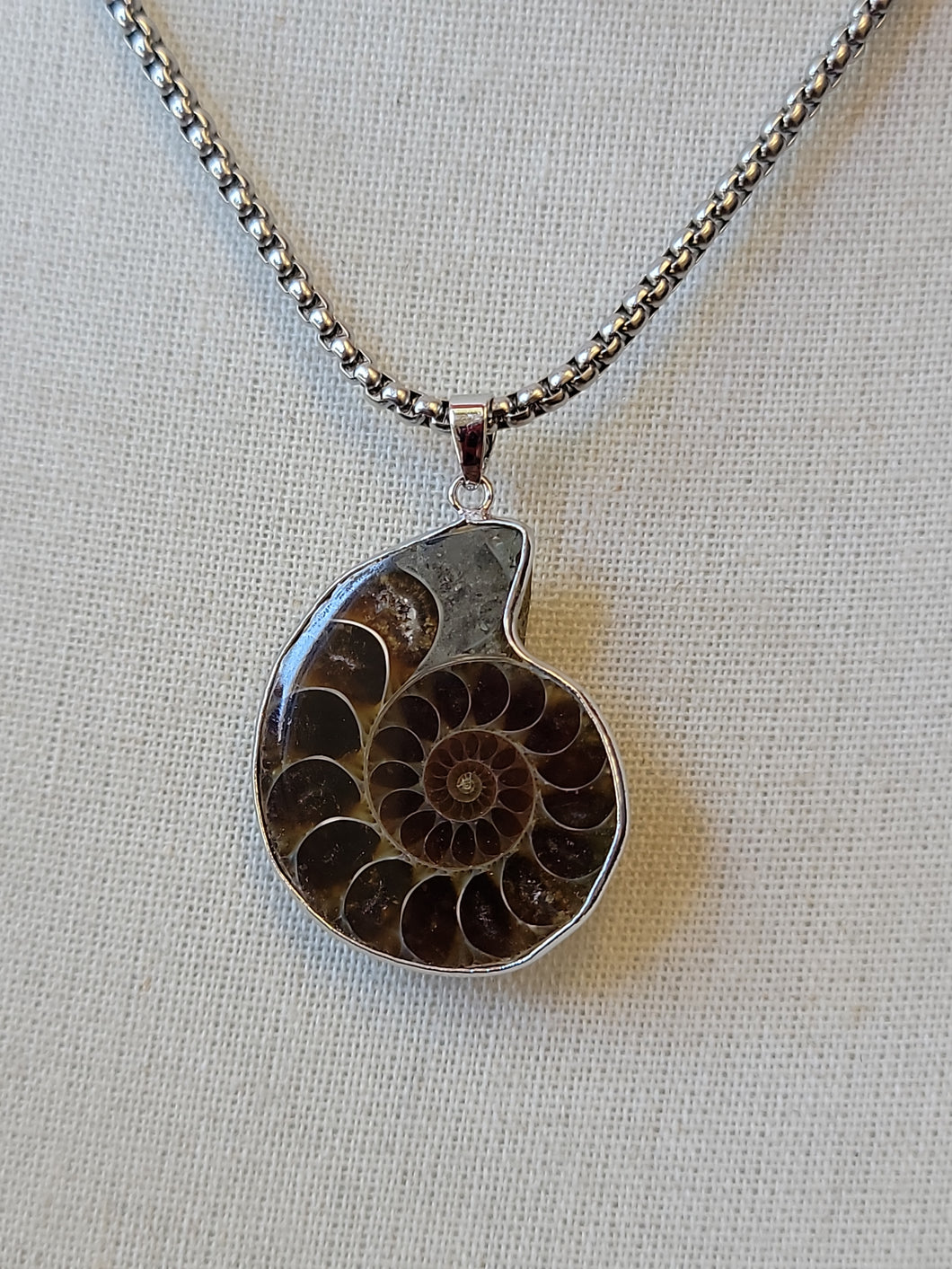 Ammonite Necklaces