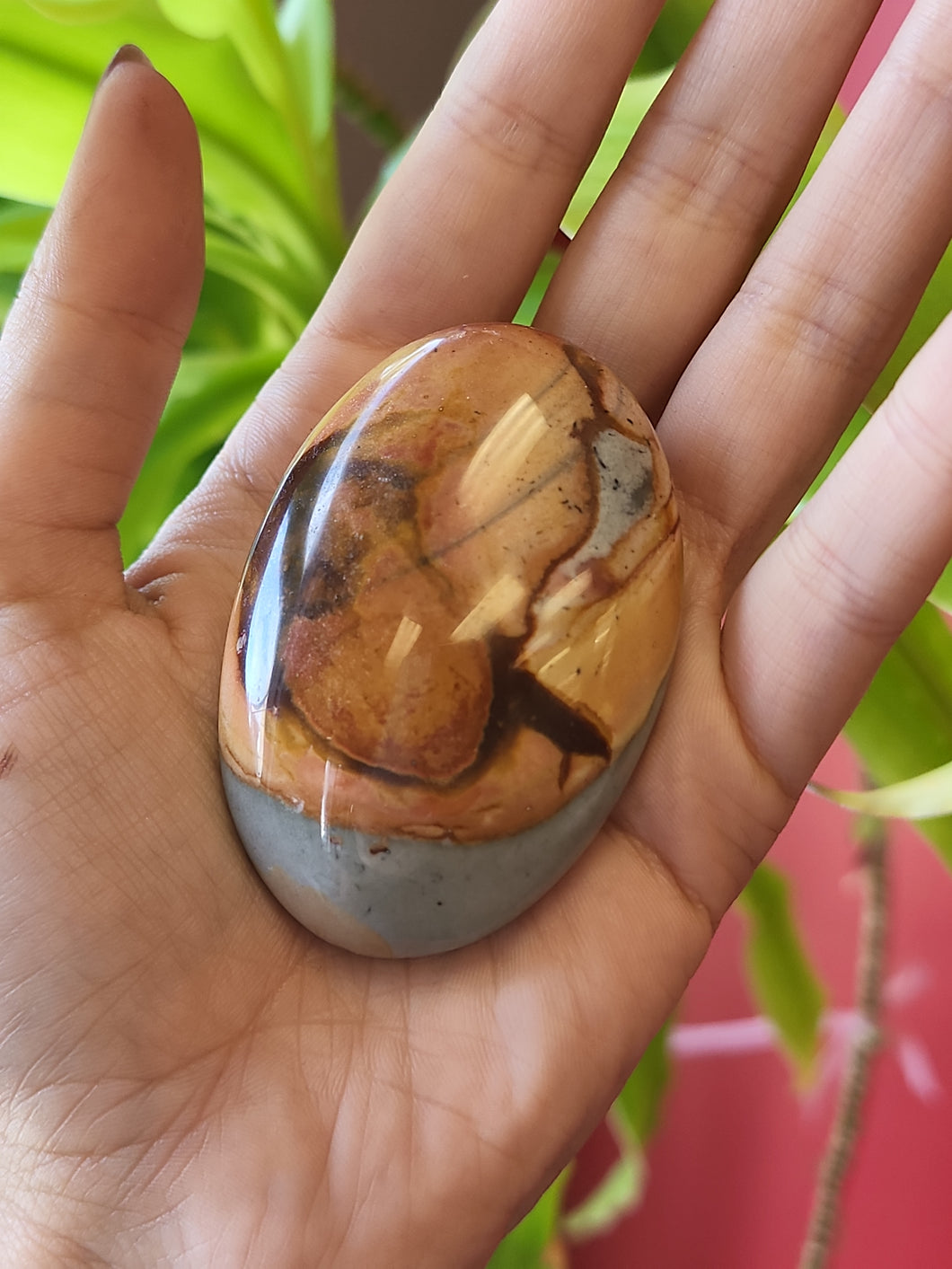 Polychrome Jasper Palmstones