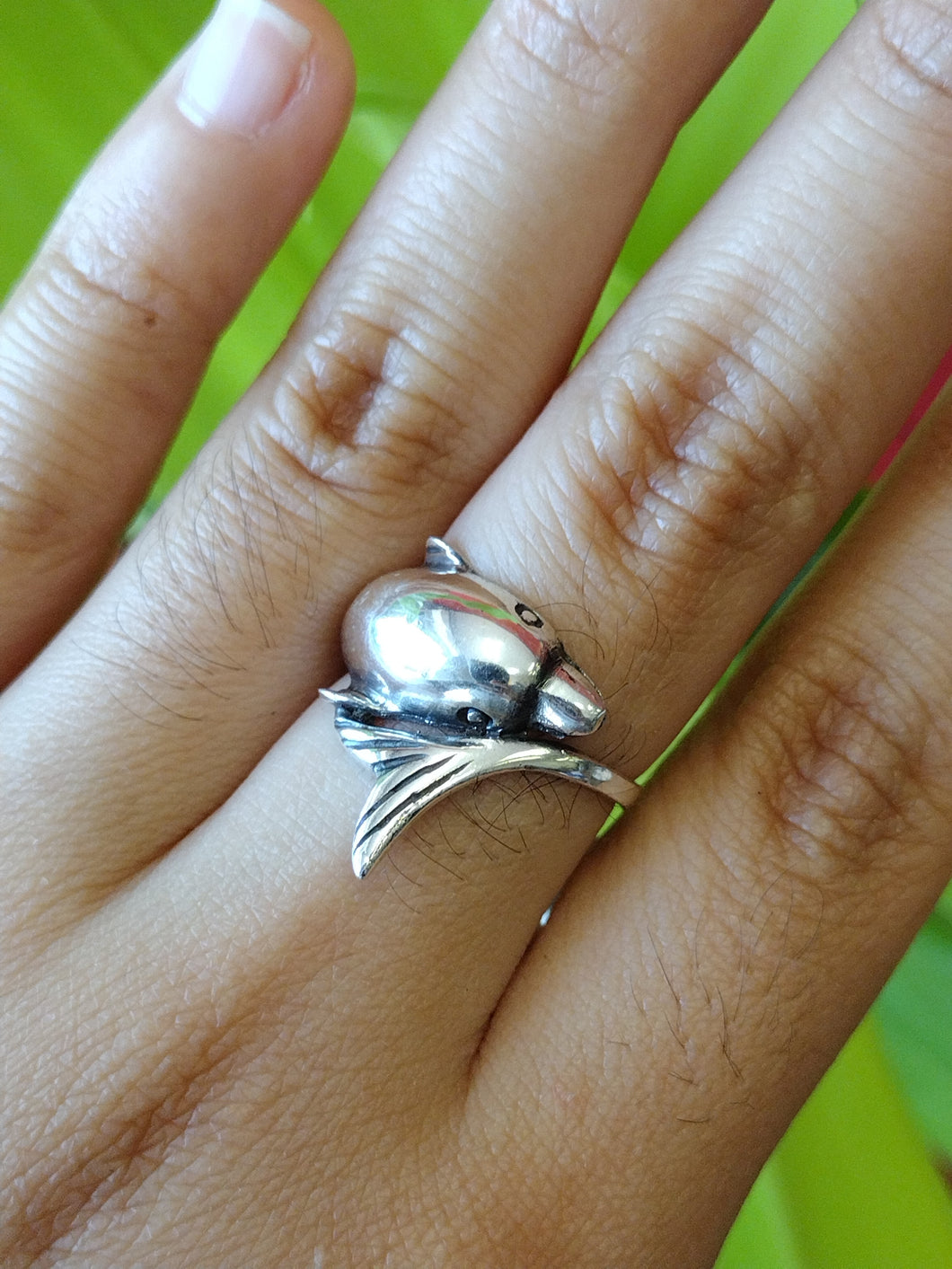 S.S. Dolphin Rings