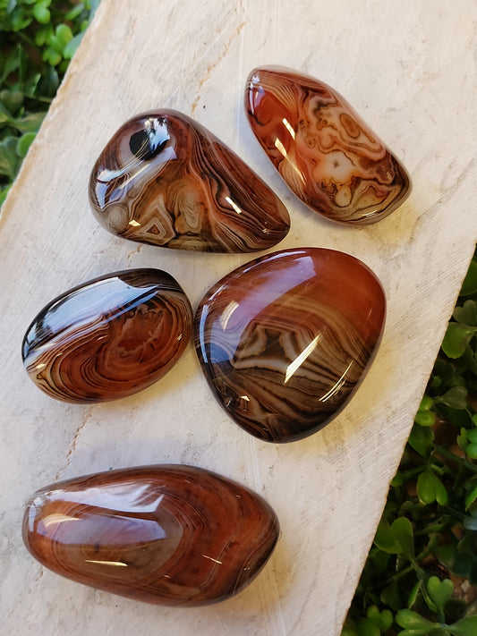 Red line Agate Free Forms (5 pc)