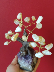 Citrine and Amethyst Money Trees 6"